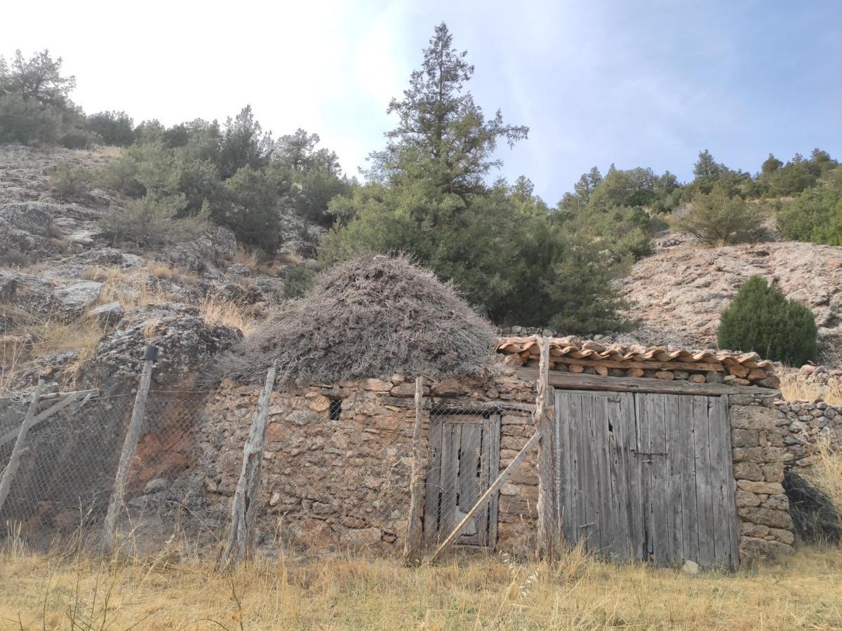 Casa Rural Sierra Del Solorio Iruecha 외부 사진